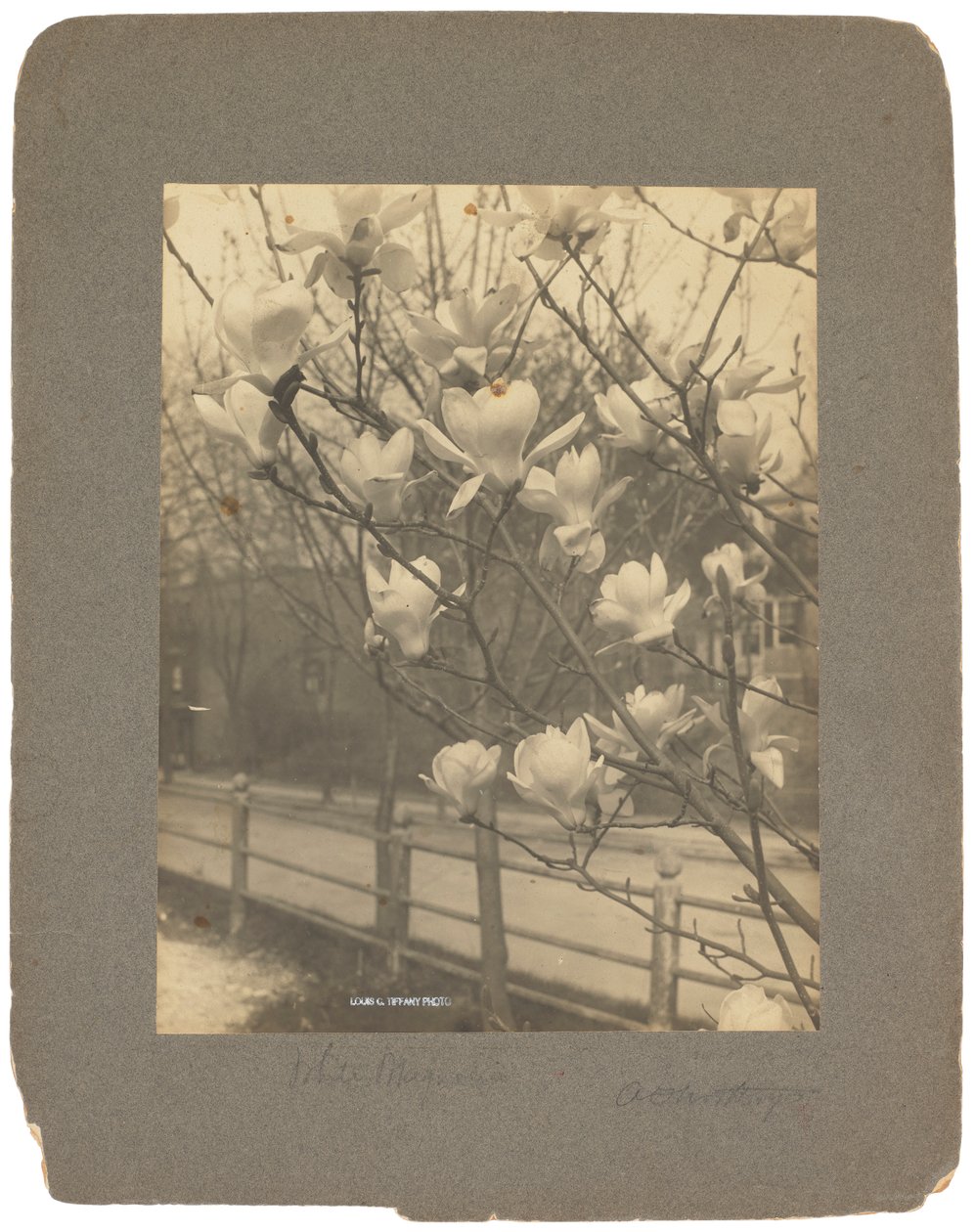 Estúdios Tiffany, c.1898-1920 (fotografia a preto e branco) de Louis Comfort Tiffany
