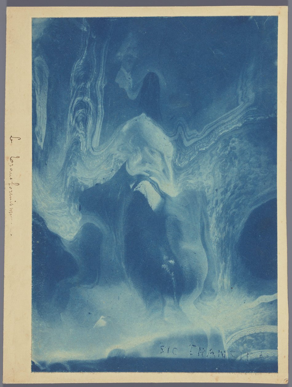 Le transformisme / Sic transit (título no objeto) de Louis Ducos du Hauron (attributed to)
