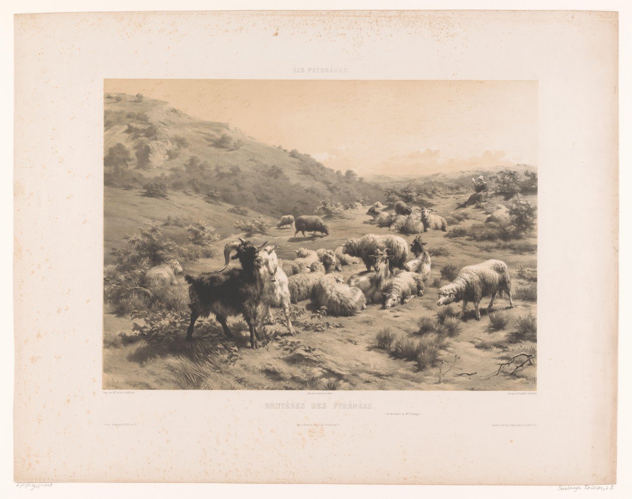 Pastora com cabras e ovelhas nos Pirenéus
Pastores dos Pirenéus (título sobre o objecto)
Prados (título da série)
Pastos (título da série sobre o objecto) de Louis Emmanuel Soulange Teissier