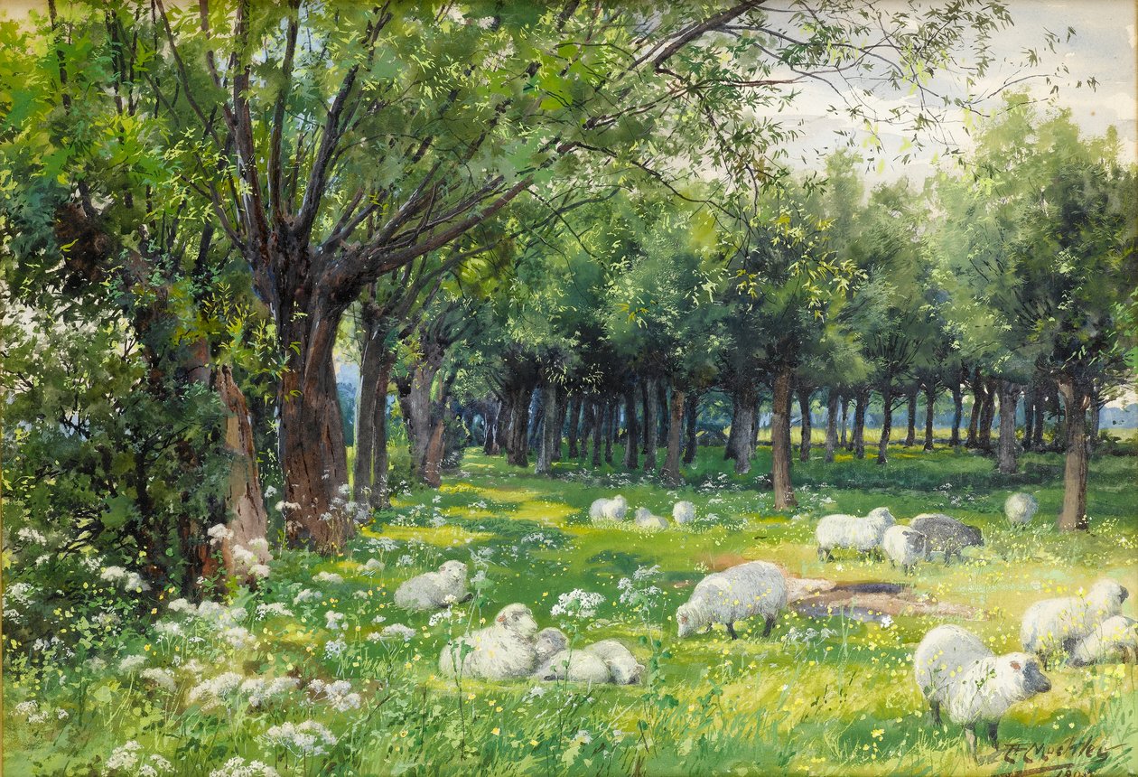 Ovelhas em um pomar na primavera de Louis Fairfax Muckley
