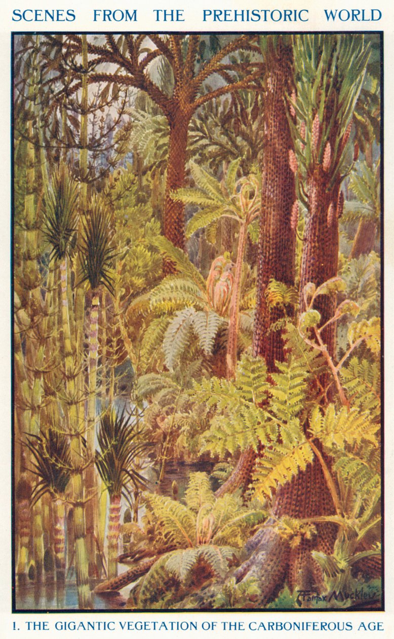 A Vegetação Gigantesca da Era Carbonífera (litografia a cores) de Louis Fairfax Muckley