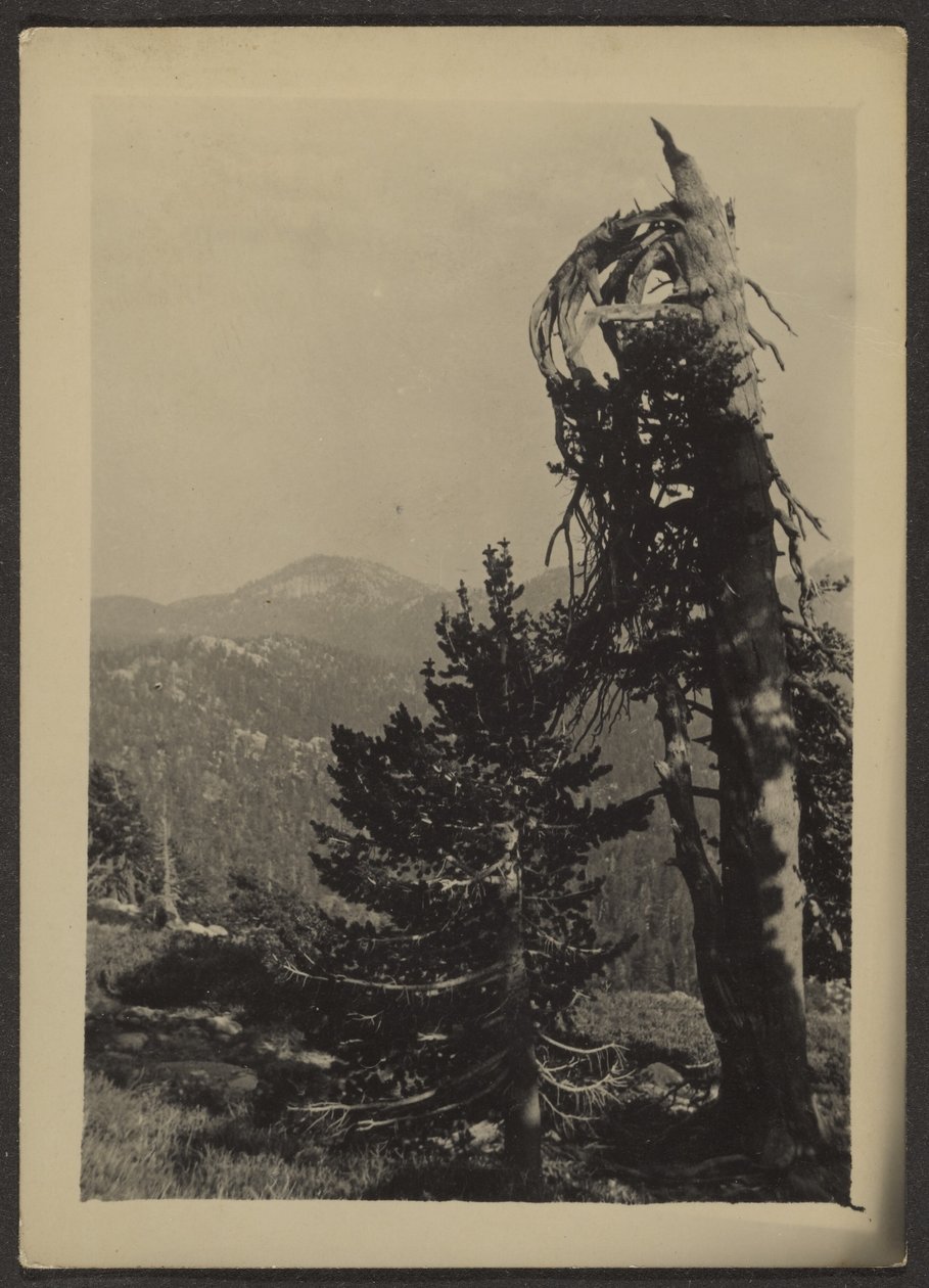 [Abe Lincoln Peak] de Louis Fleckenstein