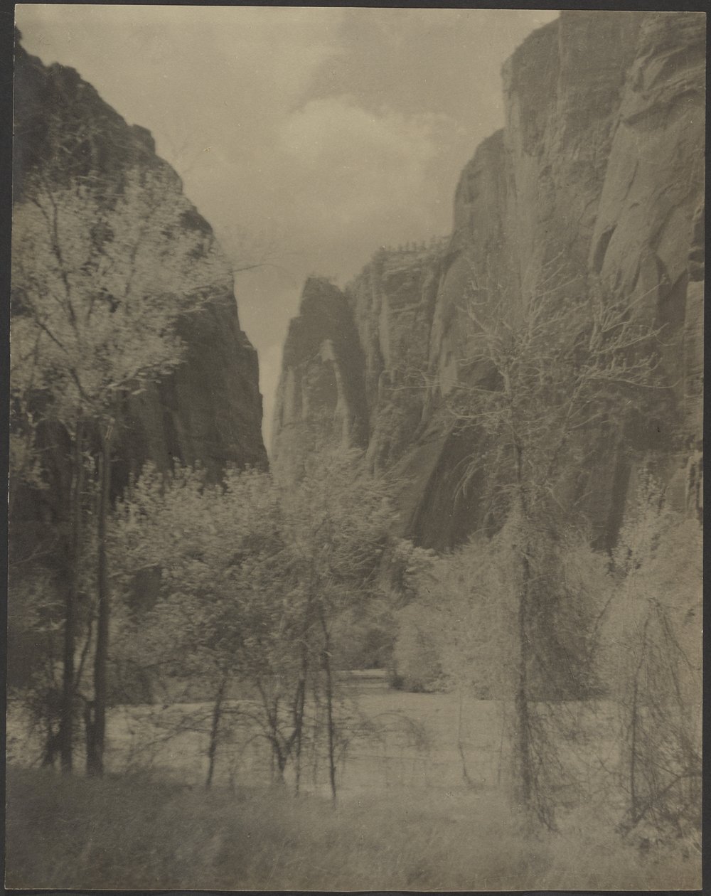 [Paisagem do Canyon]. de Louis Fleckenstein