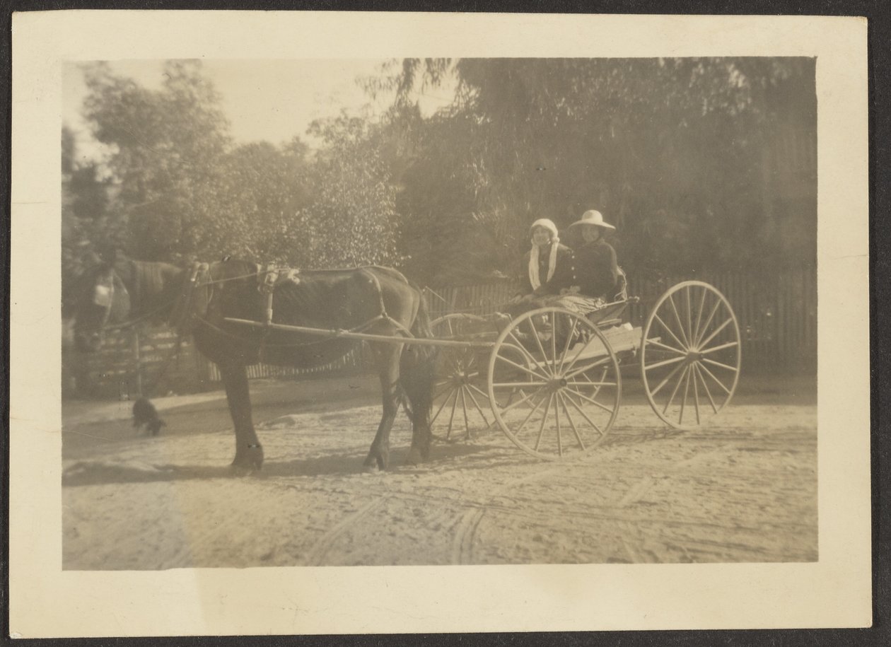 [Casal em carroça de cavalos]. de Louis Fleckenstein