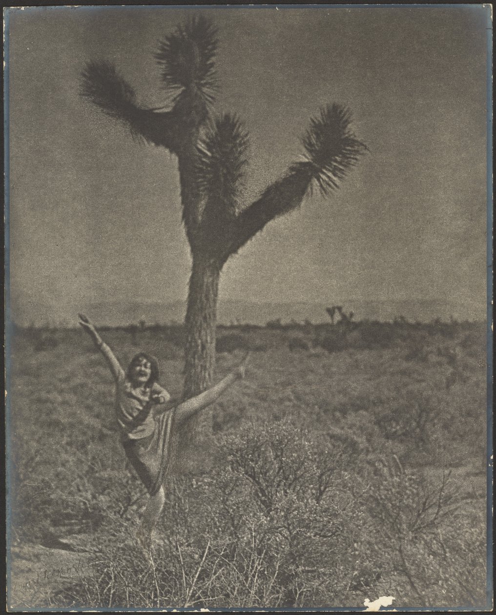 [Dançarina em Joshua Tree] de Louis Fleckenstein