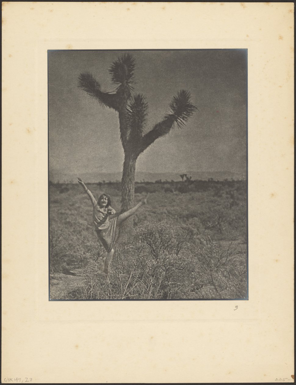 [Dançarina em Joshua Tree] de Louis Fleckenstein