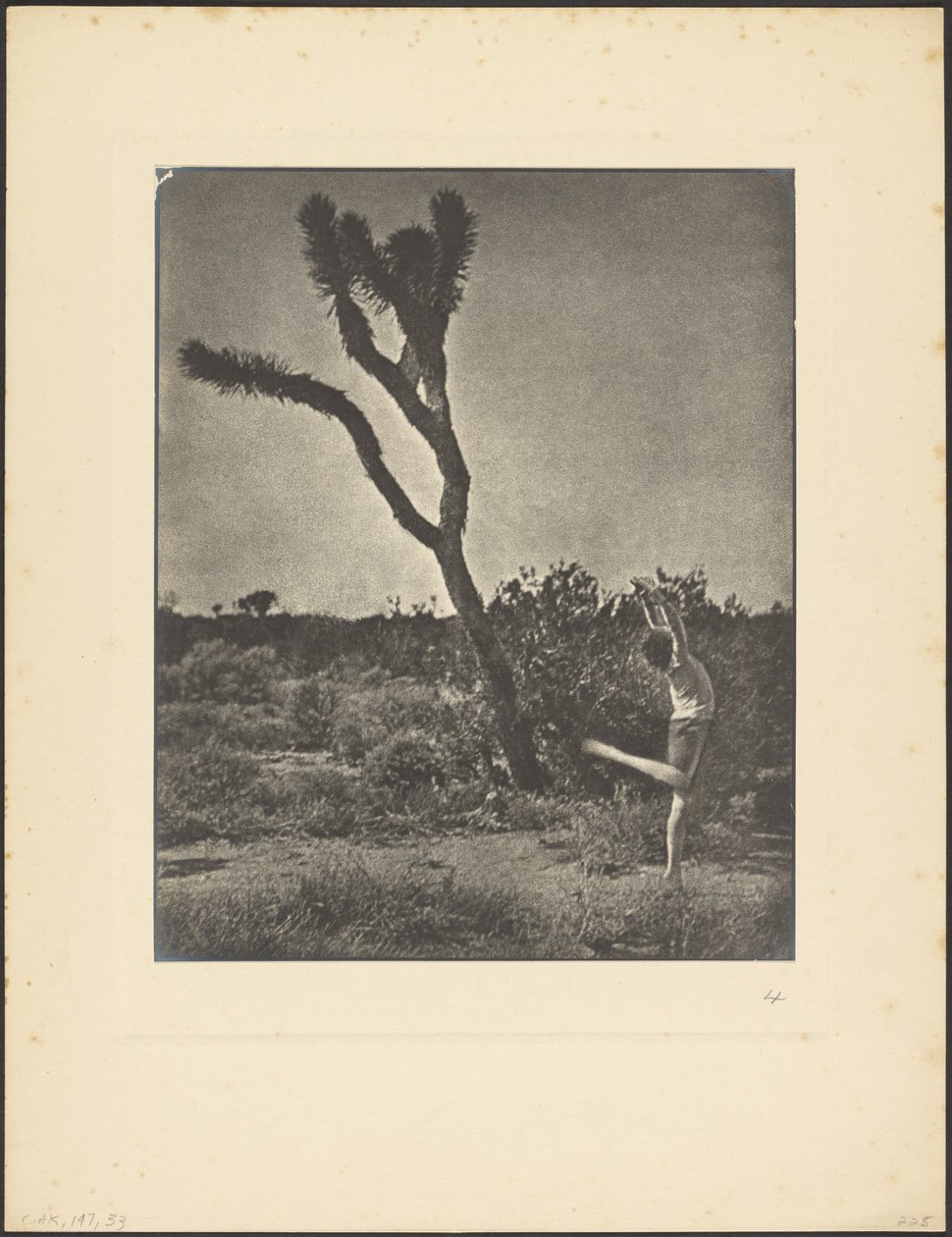 [Dançarina em Joshua Tree] de Louis Fleckenstein