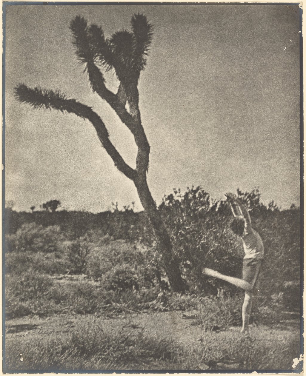 [Bailarino em Joshua Tree] de Louis Fleckenstein