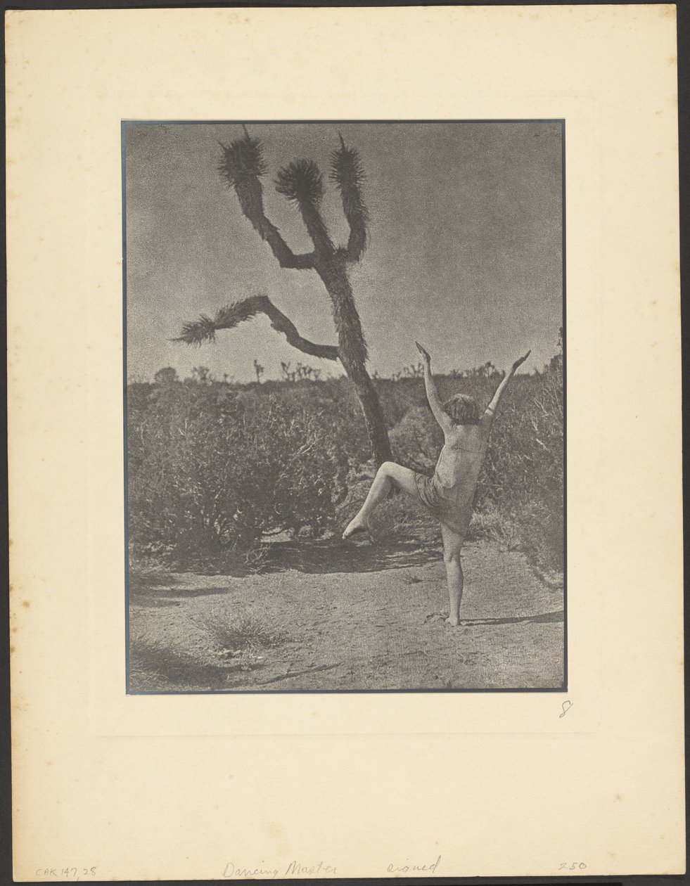 Mestre de dança de Louis Fleckenstein