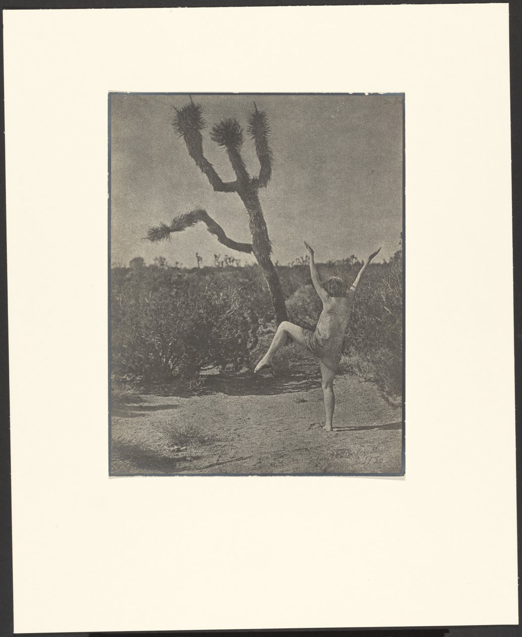Mestre de dança de Louis Fleckenstein