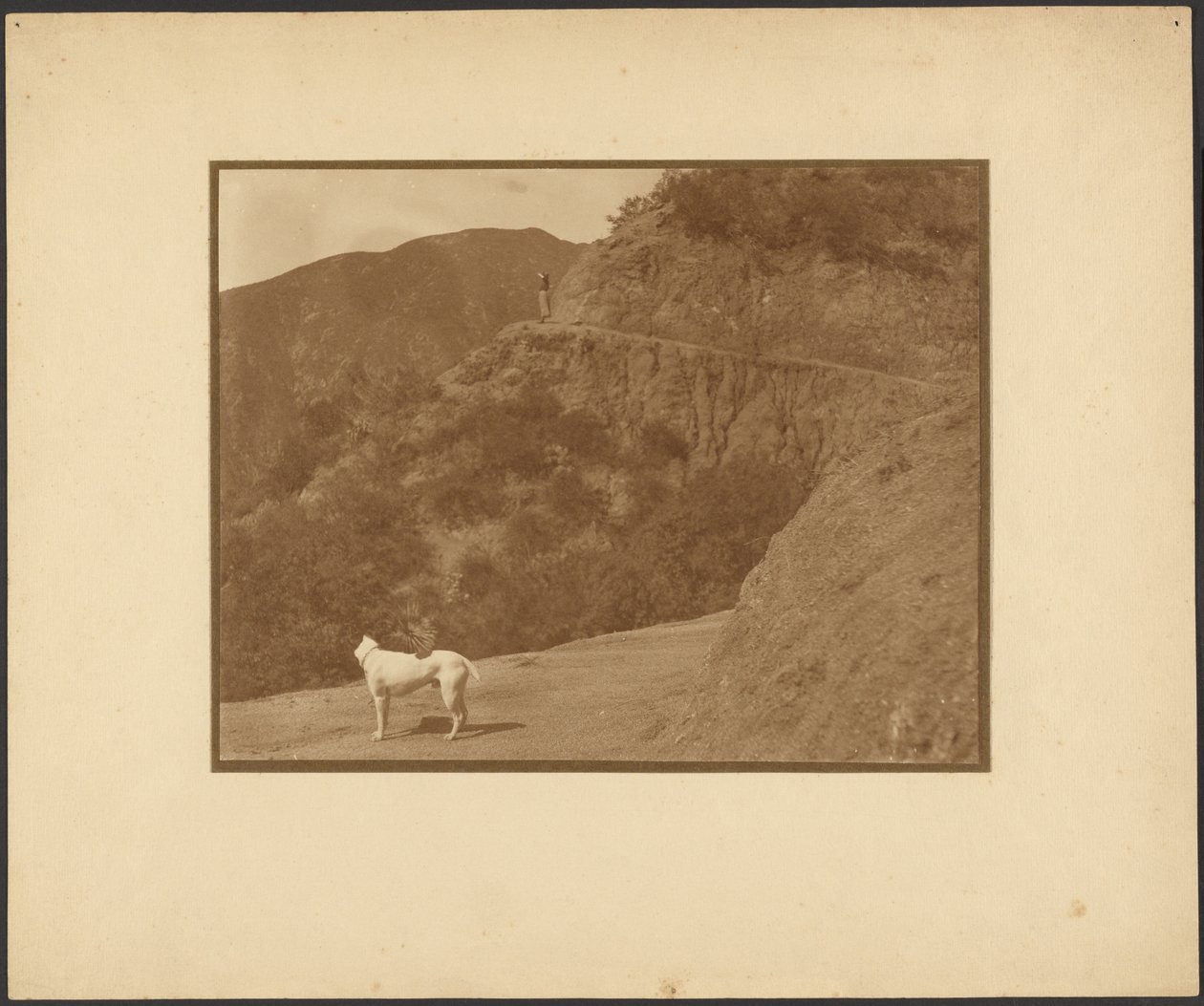 [Cão e mulher numa paisagem montanhosa] de Louis Fleckenstein