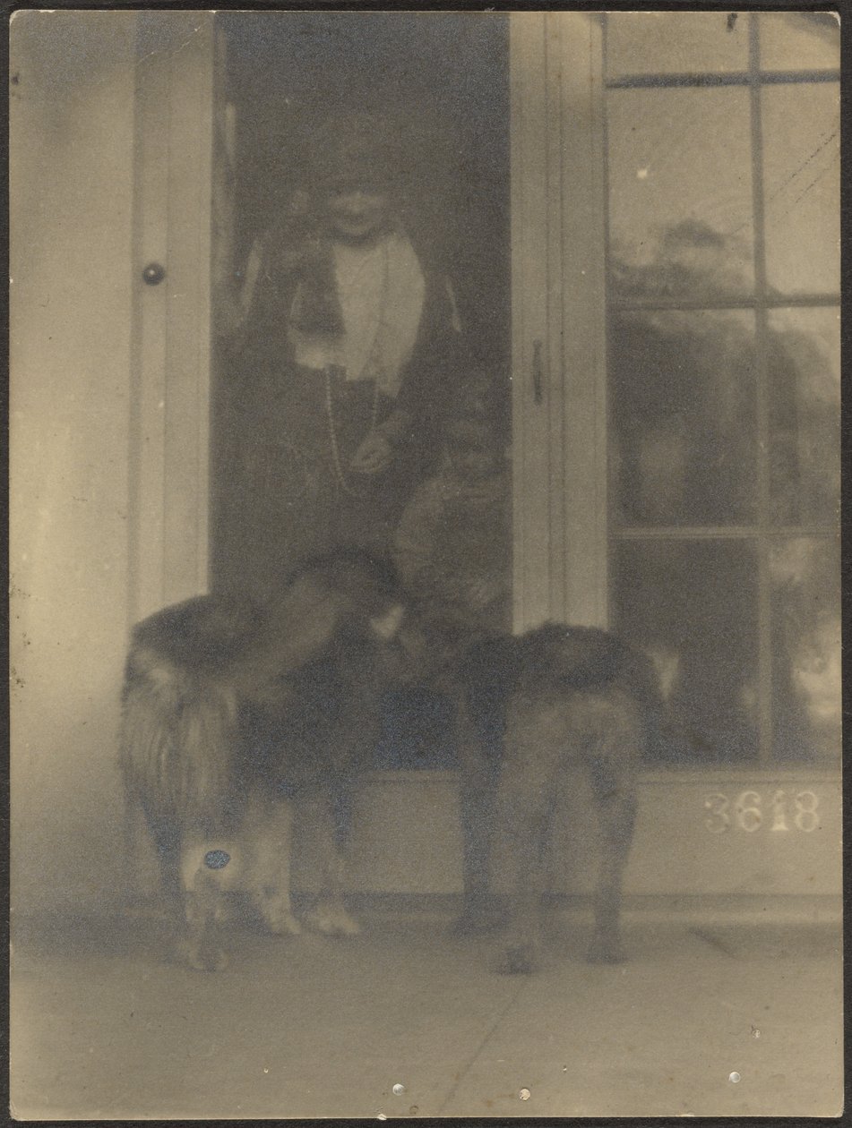 [Cães à porta]. de Louis Fleckenstein