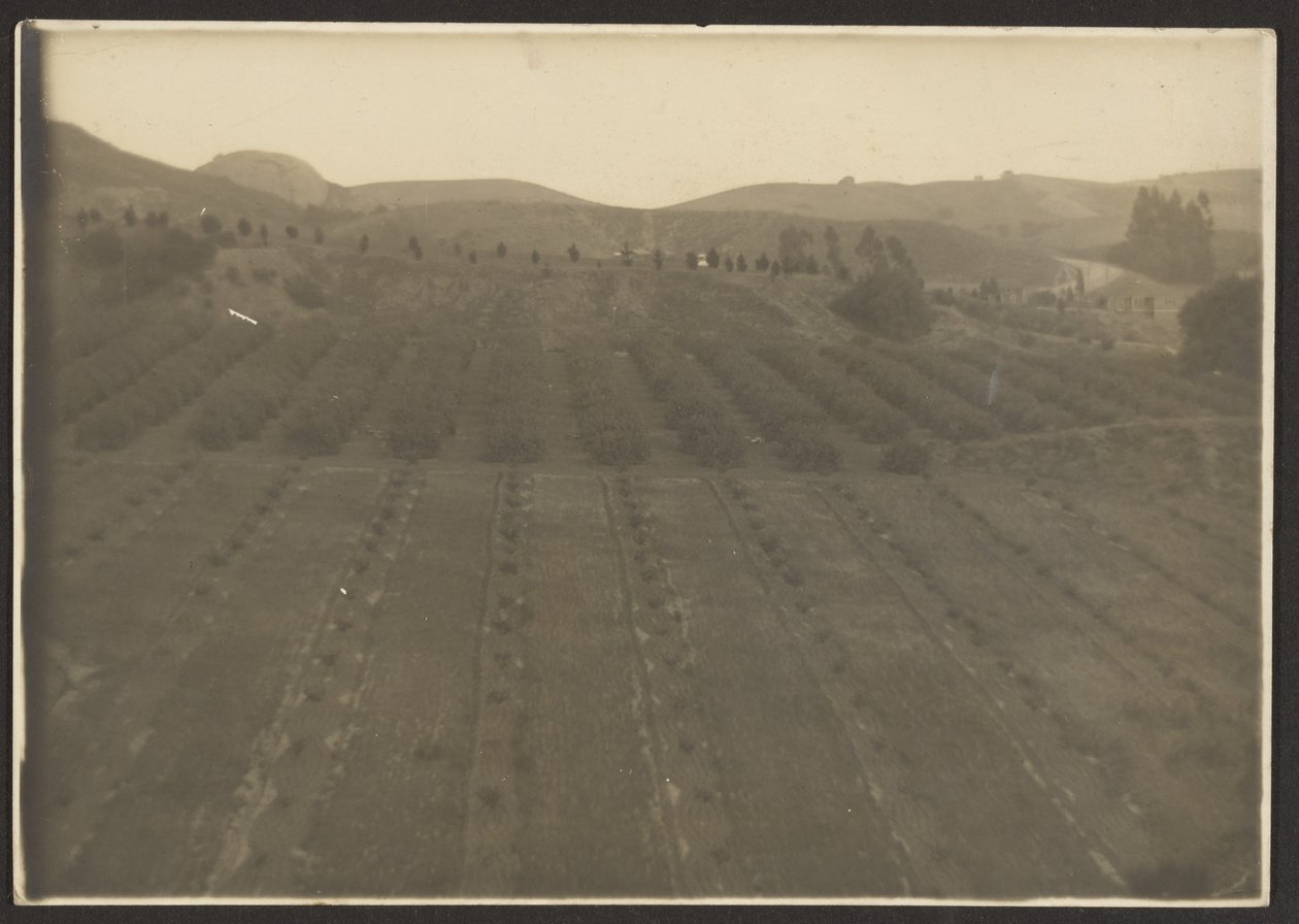 [Paisagem agrícola]. de Louis Fleckenstein