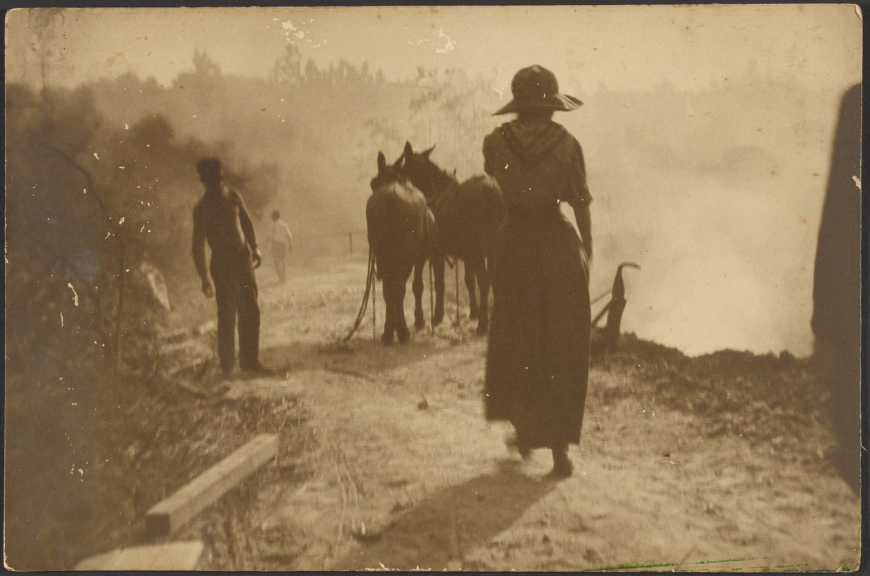 [Cena numa quinta com uma mulher a caminhar em direção aos cavalos] de Louis Fleckenstein
