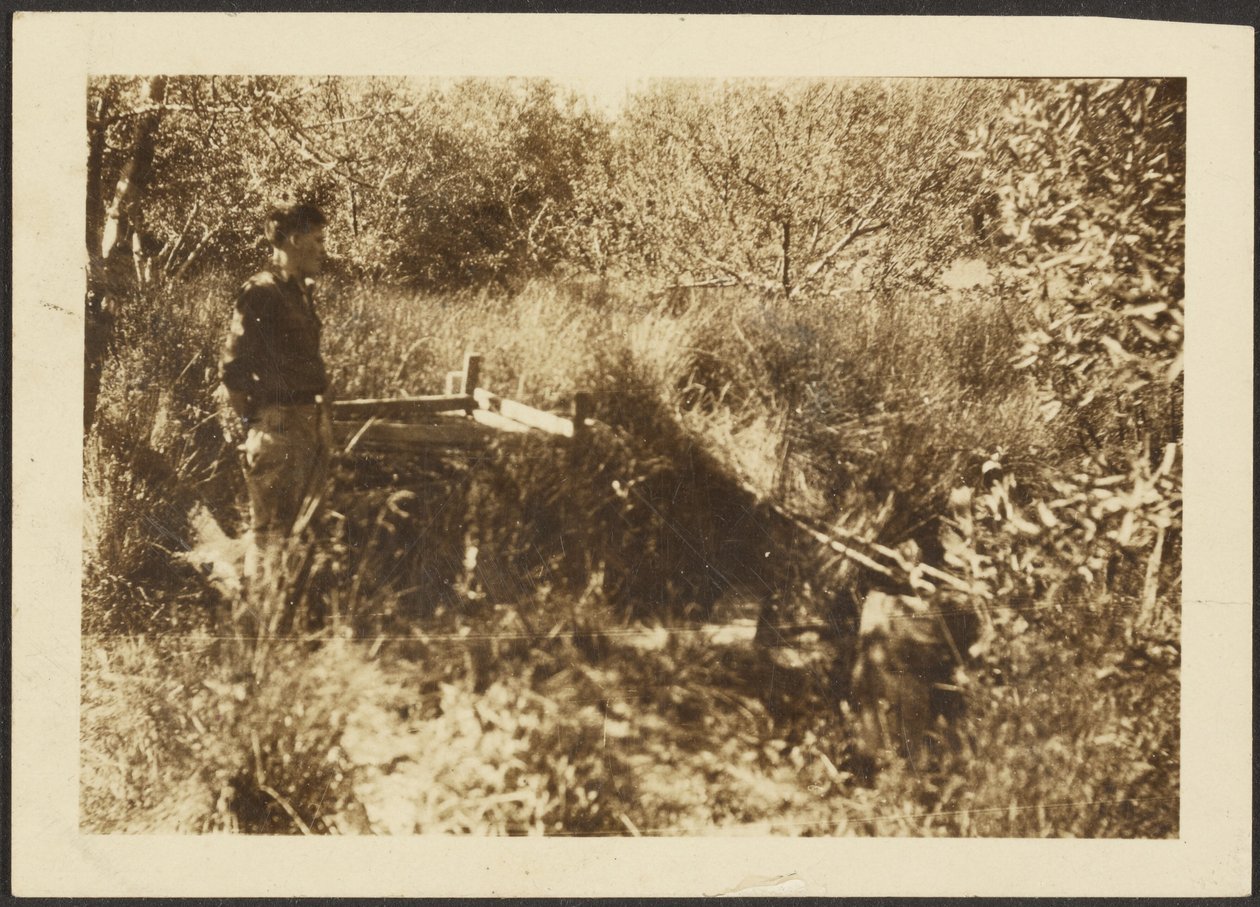 [Figura Paisagem]. de Louis Fleckenstein