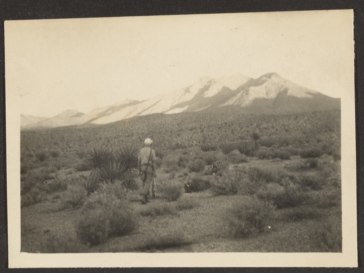 [Figura em paisagem]. de Louis Fleckenstein