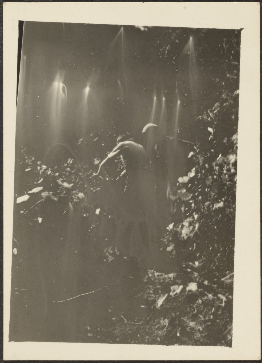 [Figuras no bosque]. de Louis Fleckenstein