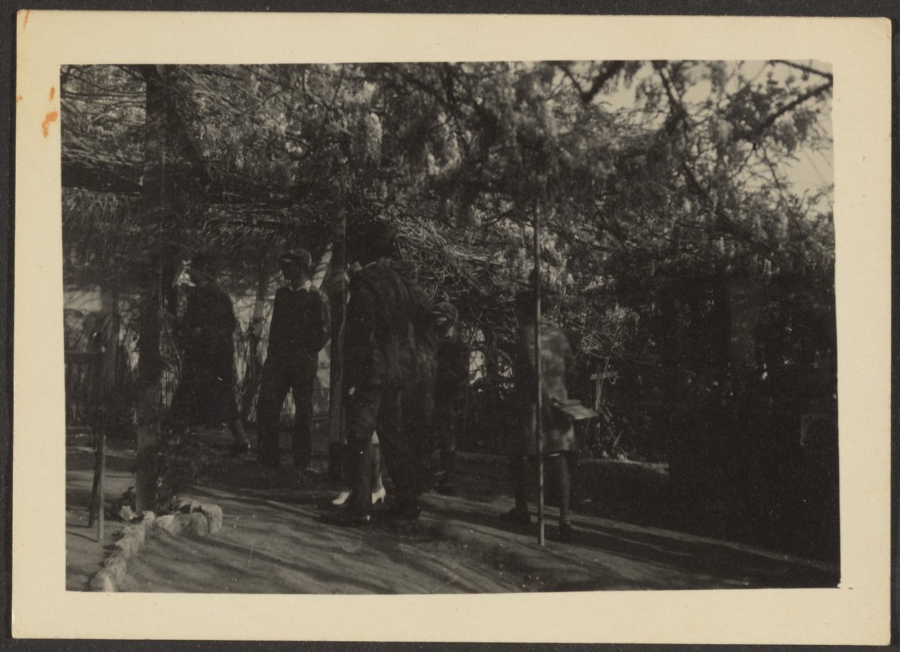 [Figuras no bosque]. de Louis Fleckenstein