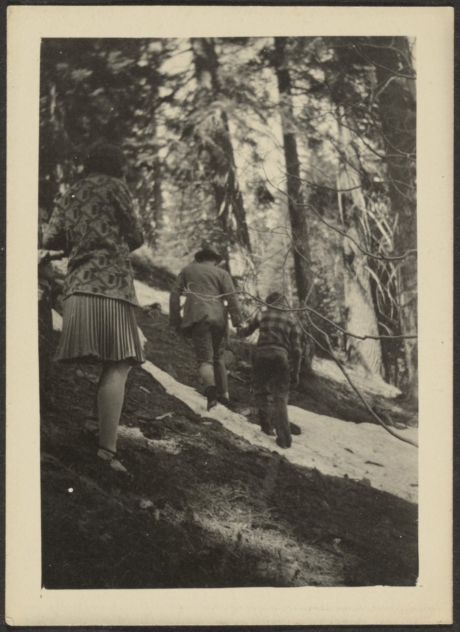 [Figuras no bosque]. de Louis Fleckenstein