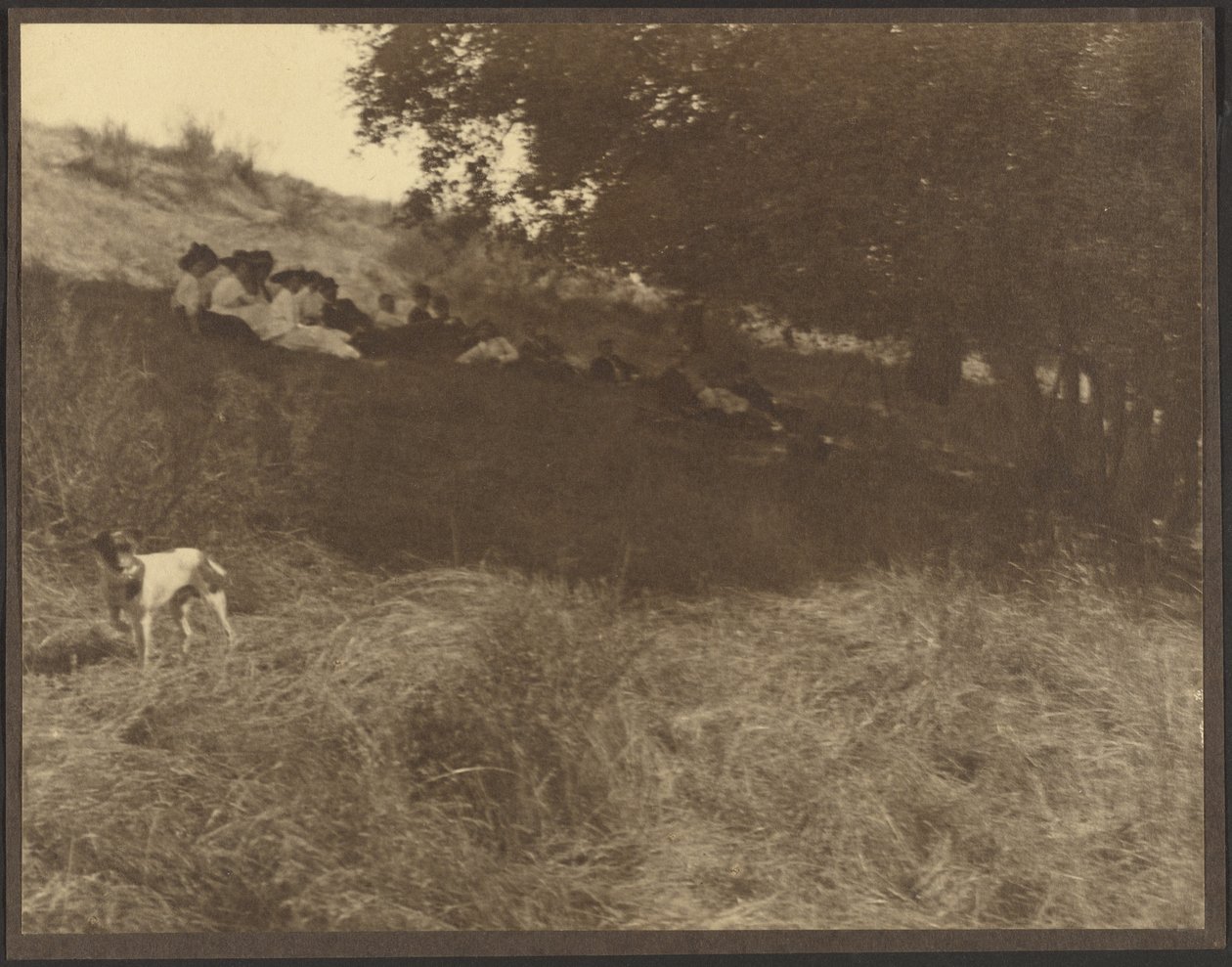 [Retrato de grupo a descansar num campo com um cão] de Louis Fleckenstein