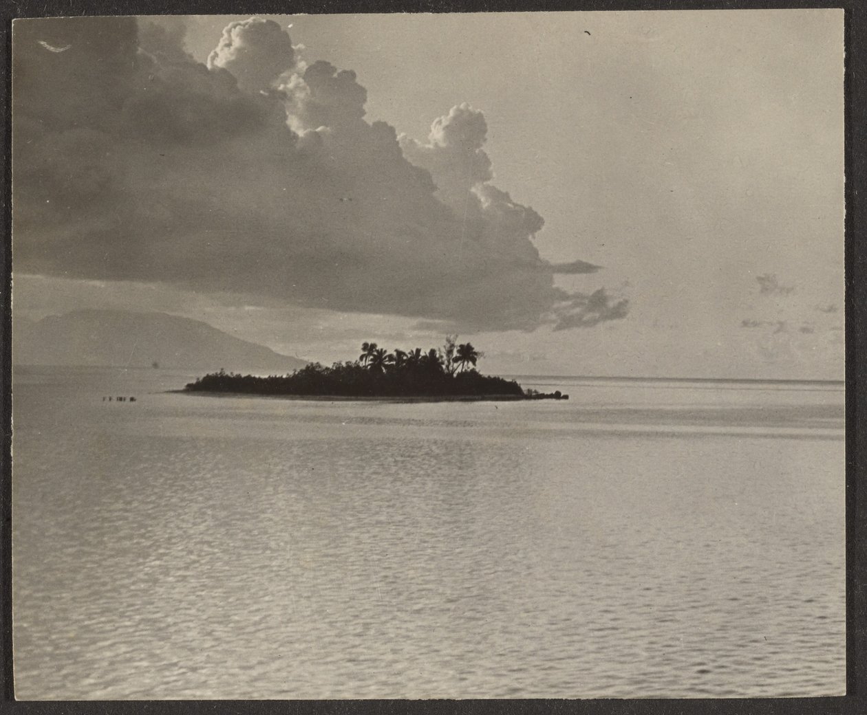 [Paisagem insular] de Louis Fleckenstein