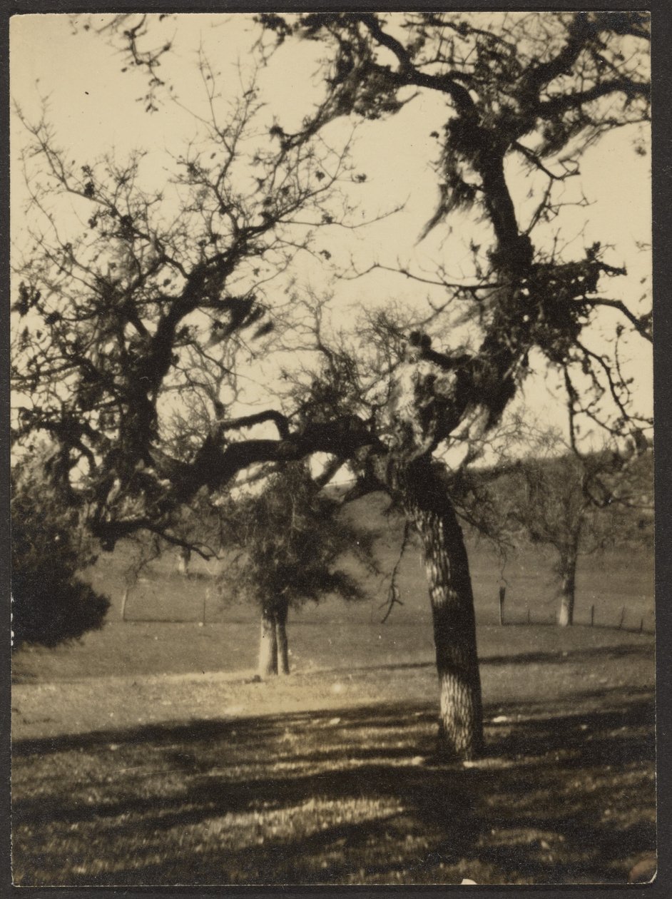 [Paisagem] de Louis Fleckenstein