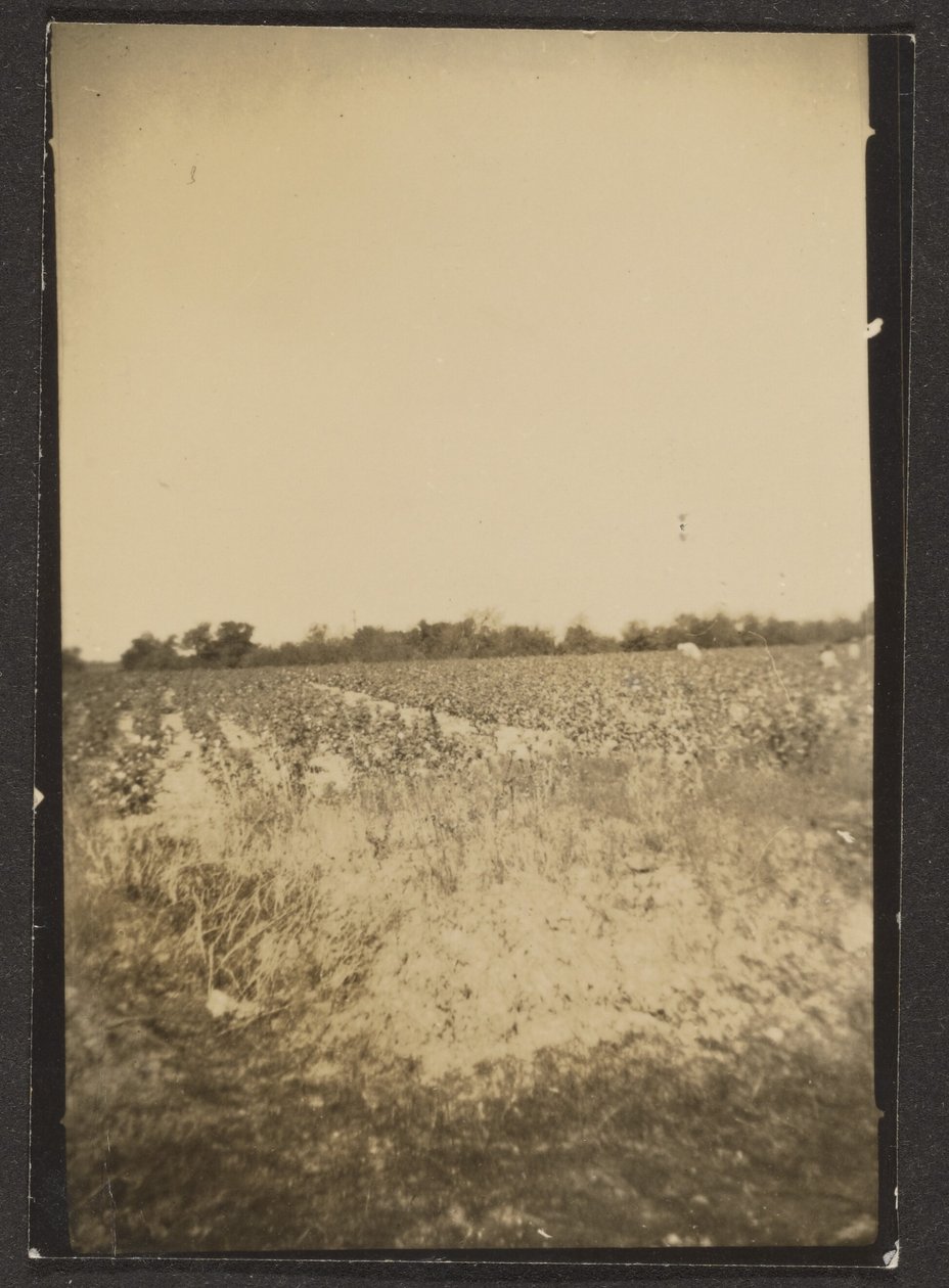 [Paisagem] de Louis Fleckenstein