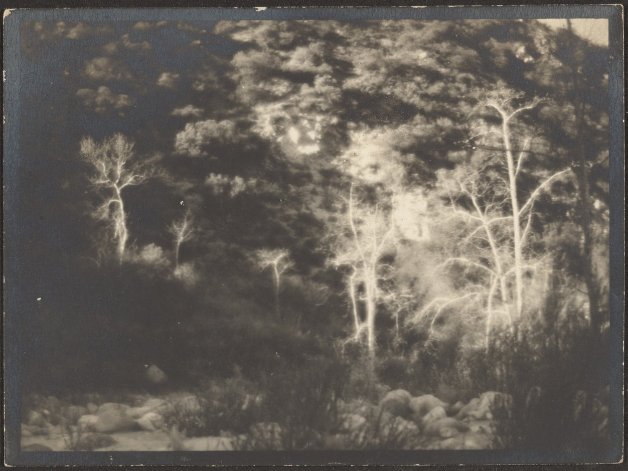 [Paisagem] de Louis Fleckenstein