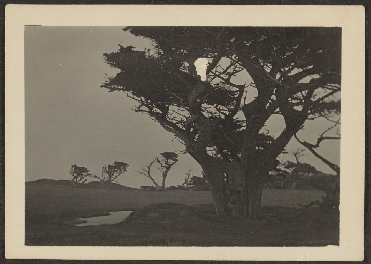 [Paisagem] de Louis Fleckenstein