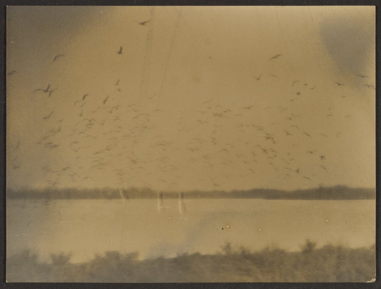 [Paisagem com aves]. de Louis Fleckenstein