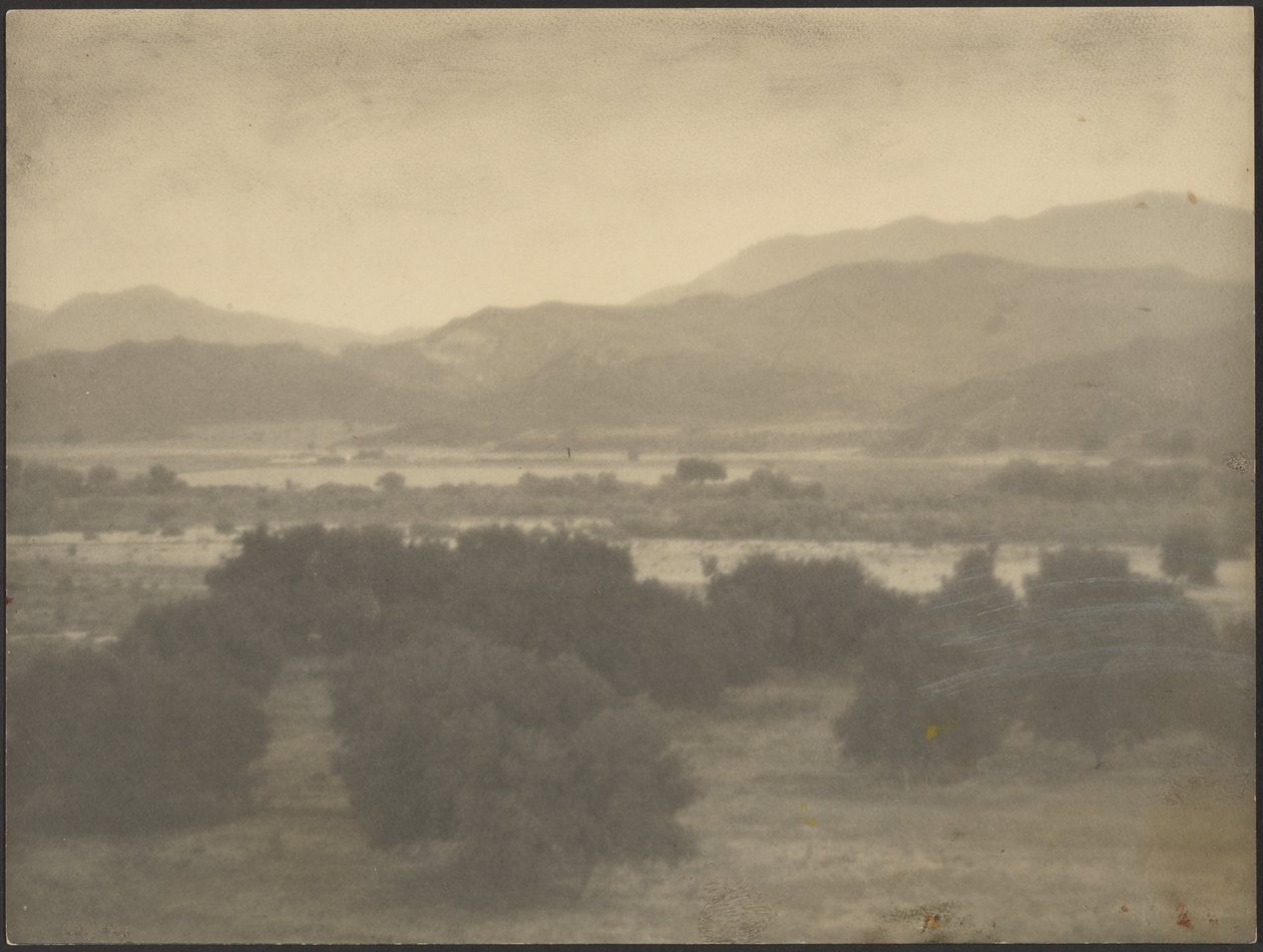 [Paisagem com árvores baixas]. de Louis Fleckenstein