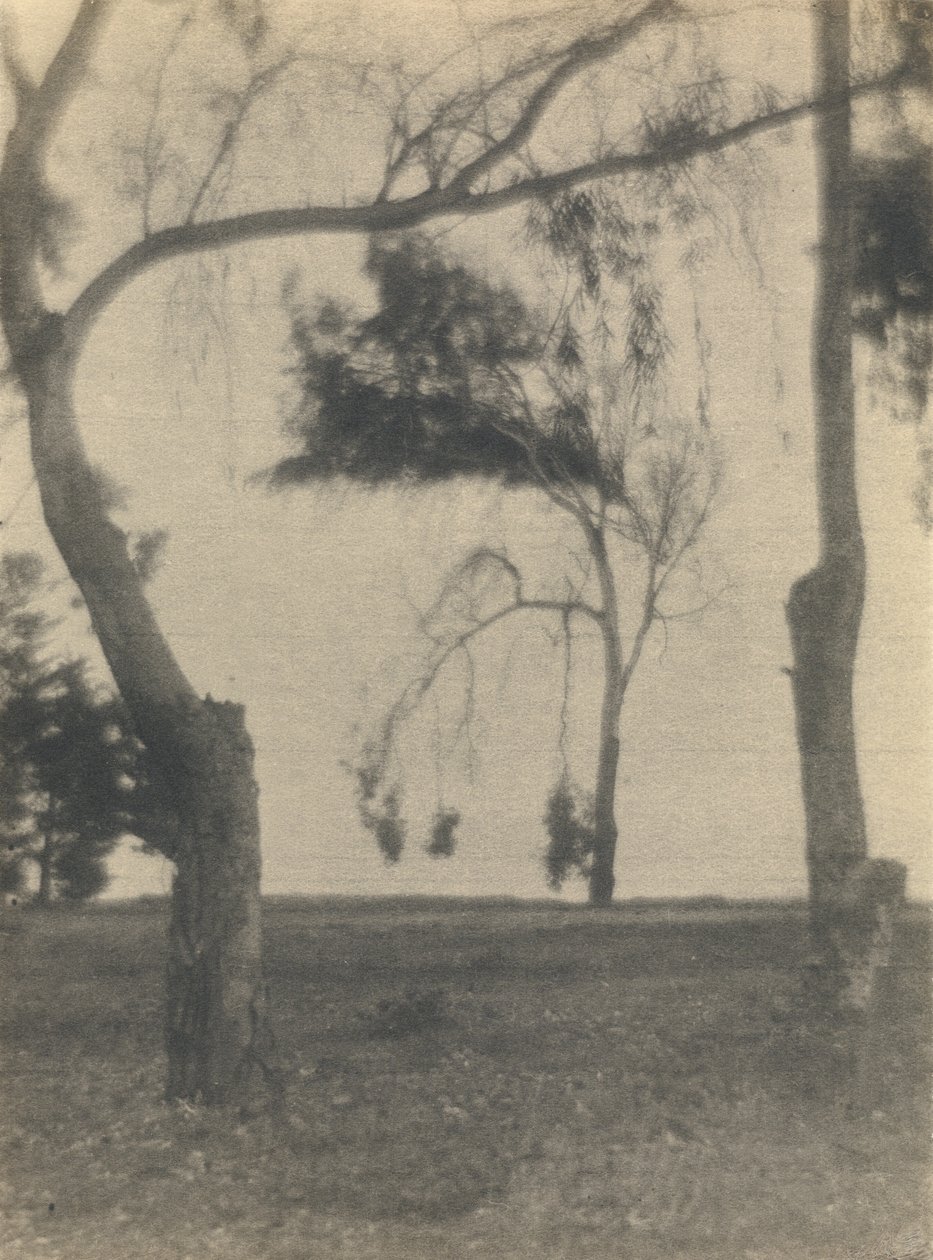 [Paisagem com árvores]. de Louis Fleckenstein