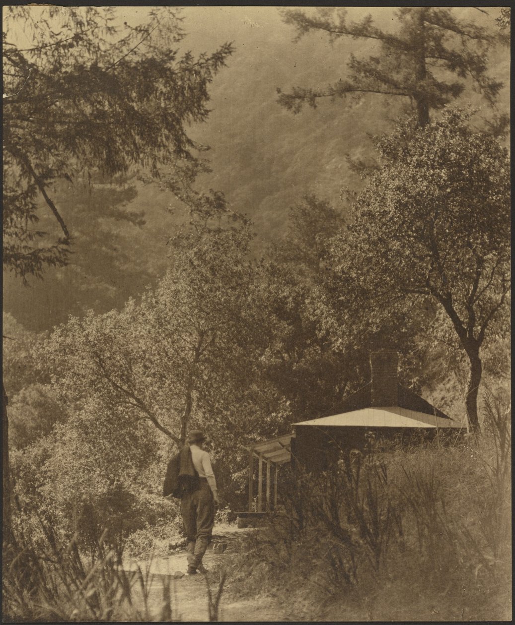 [Homem a caminhar para uma casa de campo no bosque] de Louis Fleckenstein