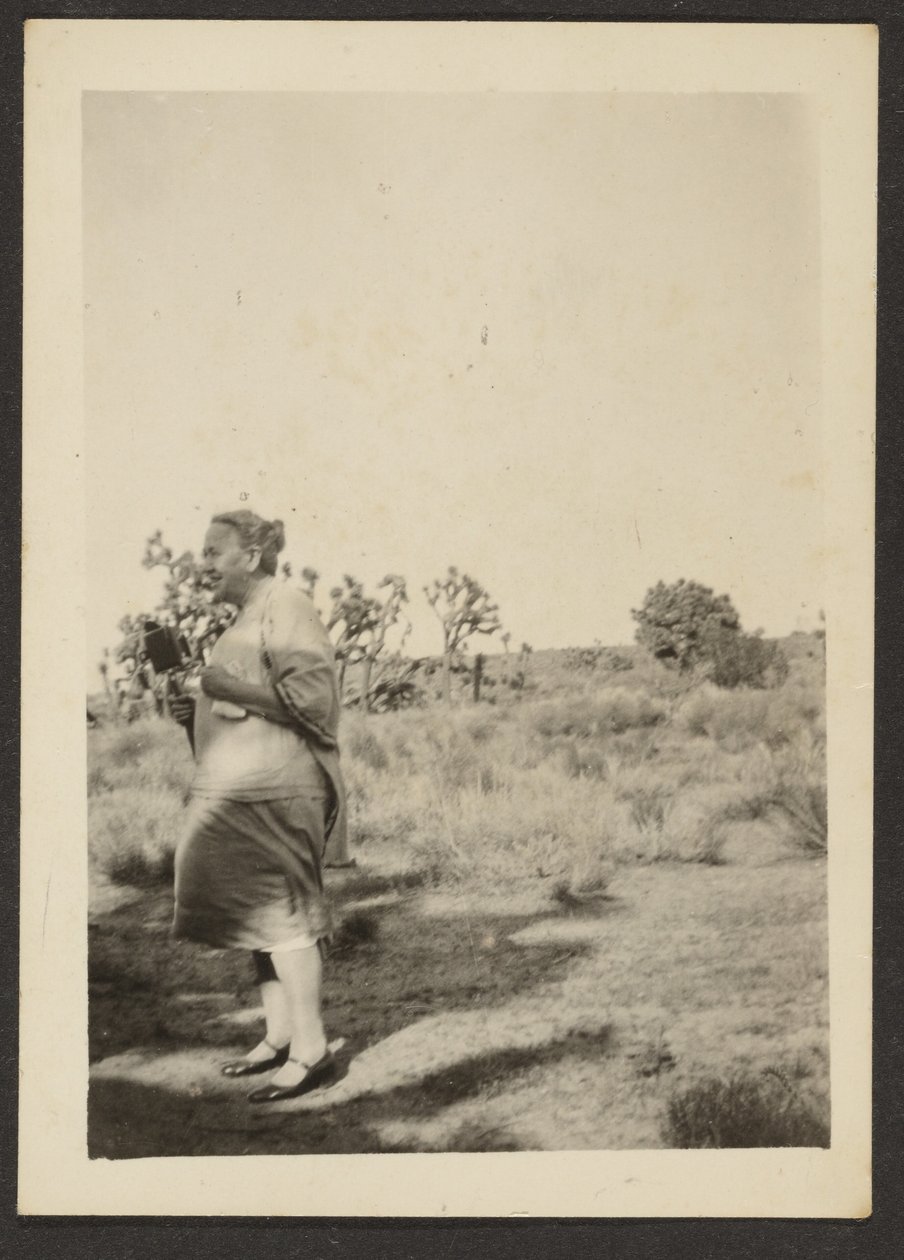 [Mrs Fleckenstein in Landscape] de Louis Fleckenstein