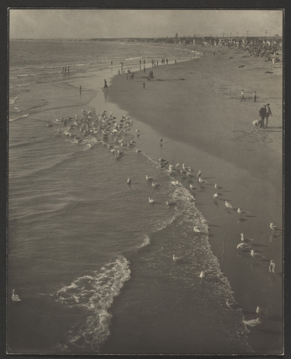 Newport Beach de Louis Fleckenstein