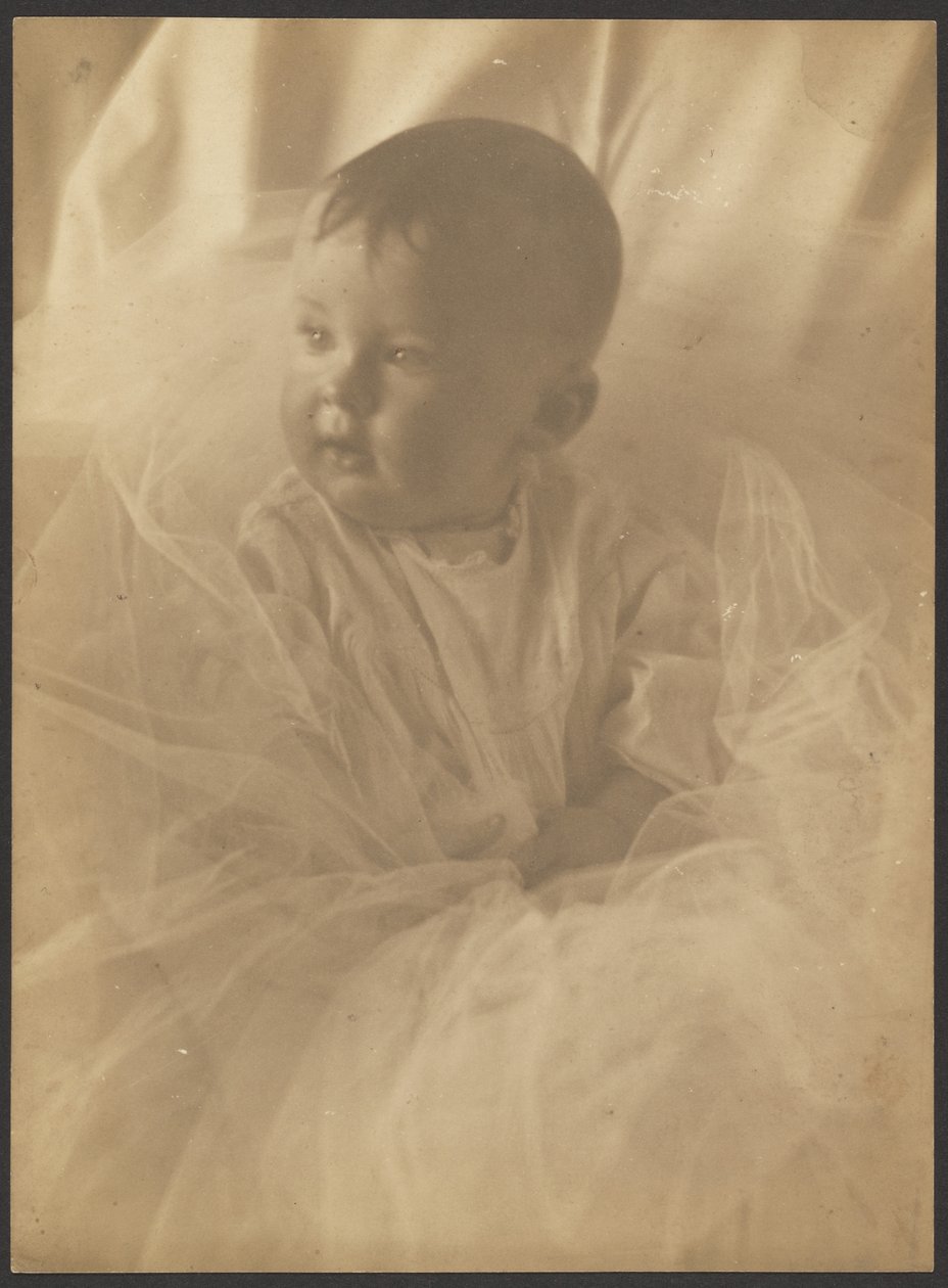 [Retrato de um bebé rodeado de tule] de Louis Fleckenstein