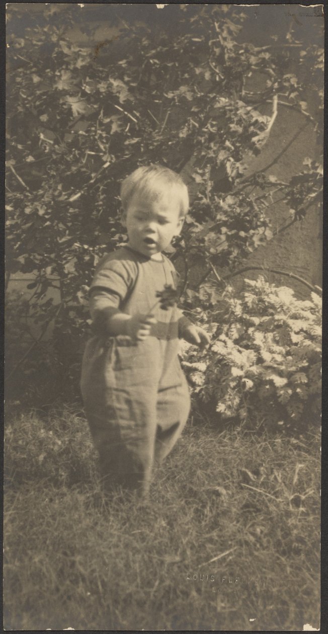 [Retrato de uma criança num jardim] de Louis Fleckenstein