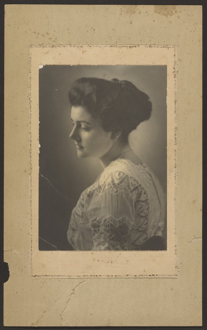 [Retrato de uma mulher com um vestido bordado] de Louis Fleckenstein