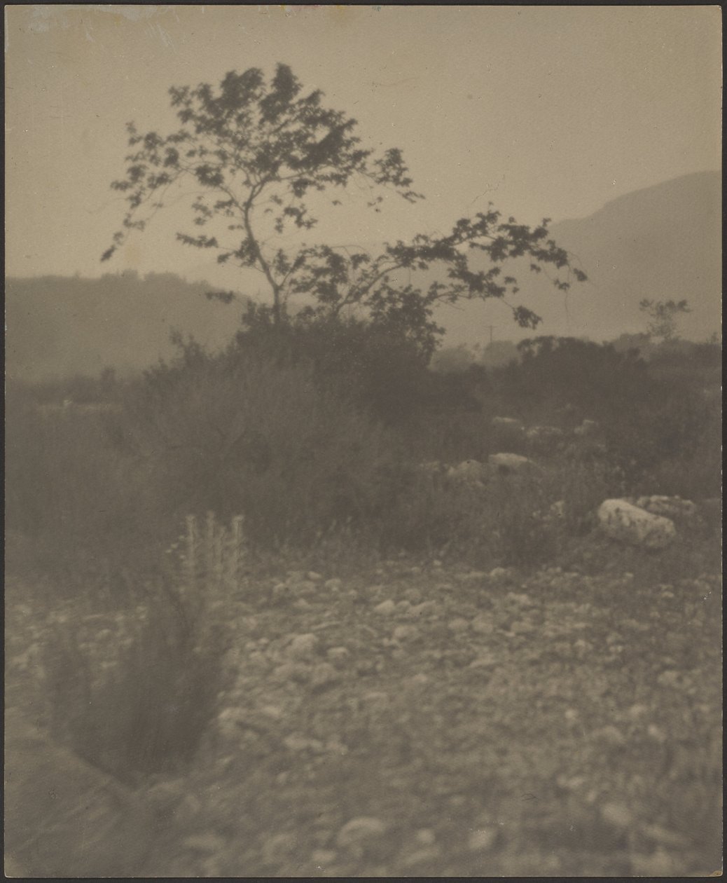 [Paisagem rochosa] de Louis Fleckenstein