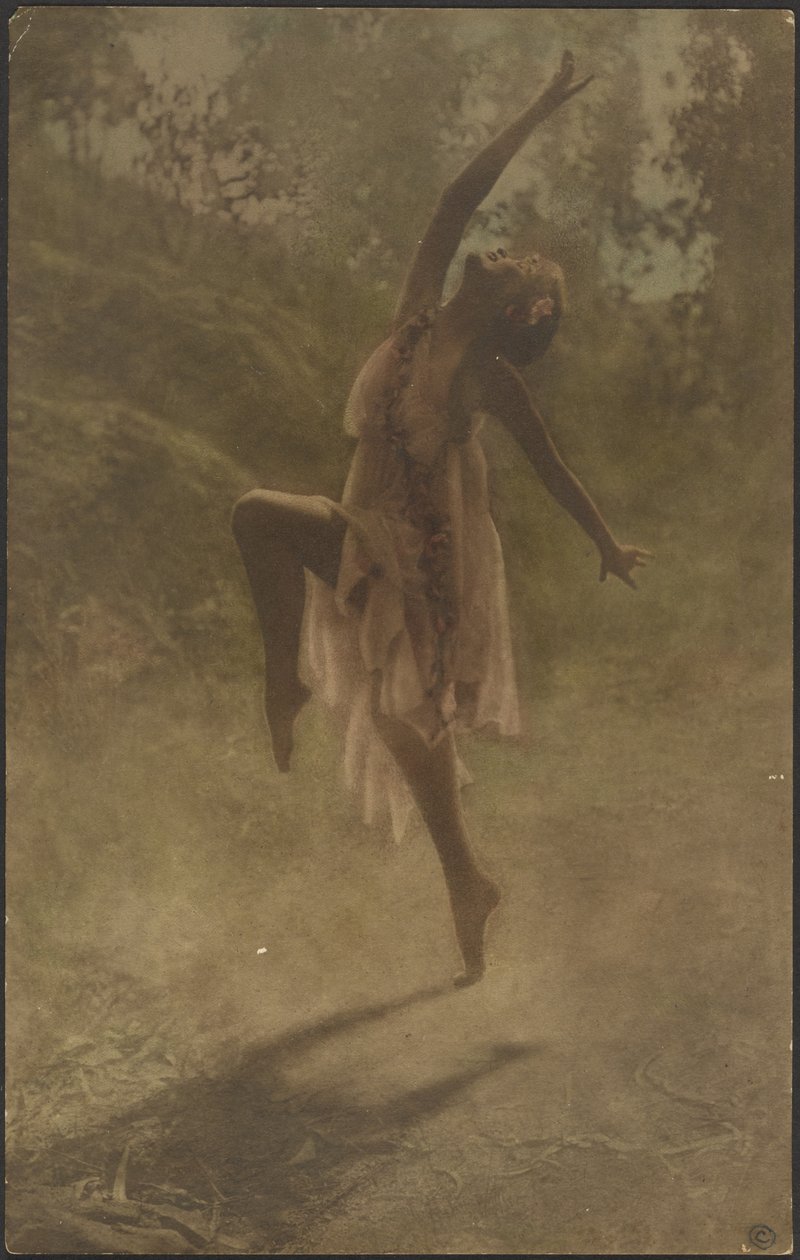 Dança das Rosas do Sul de Louis Fleckenstein