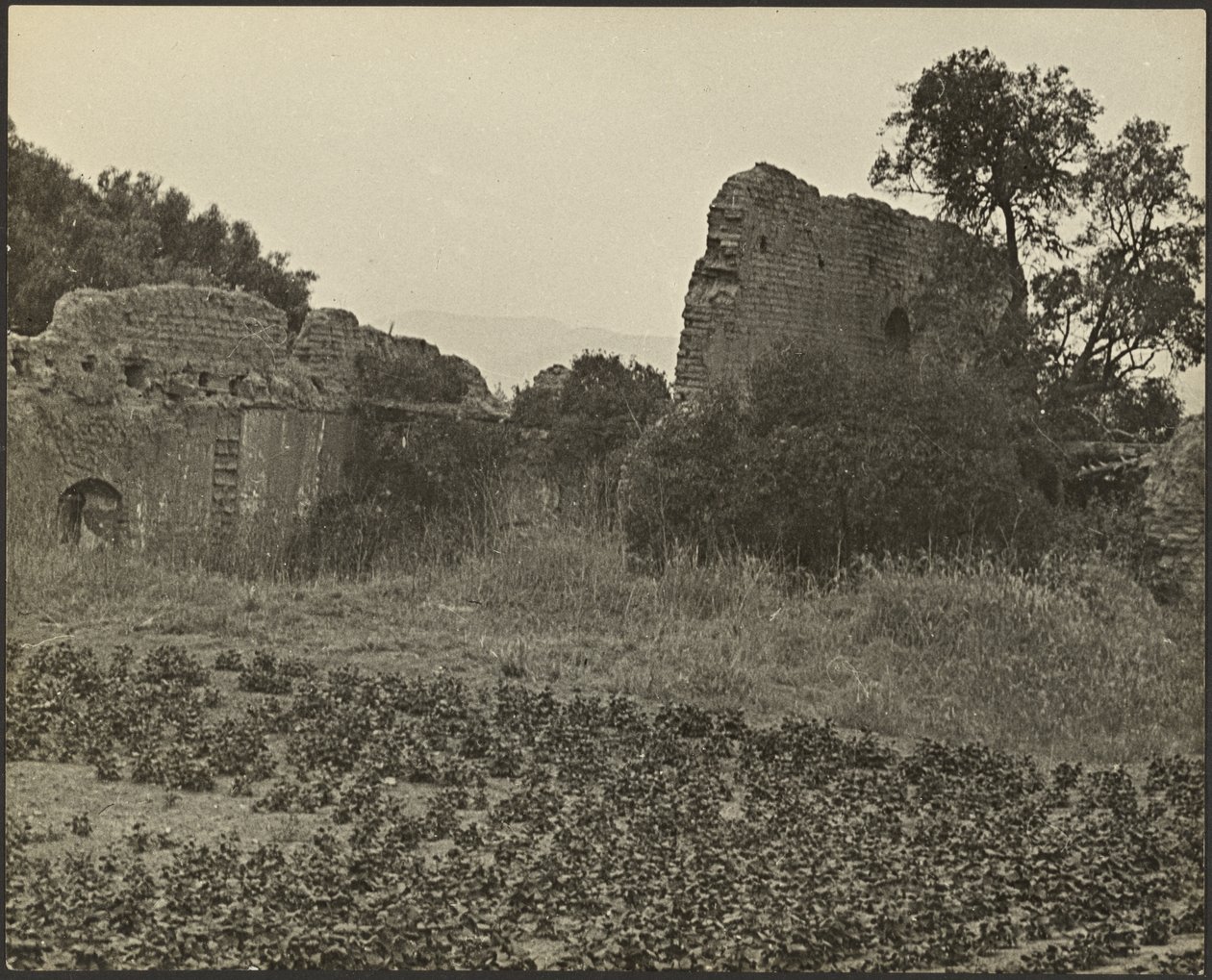 Ruínas da Missão Purisima Concepcion de Louis Fleckenstein