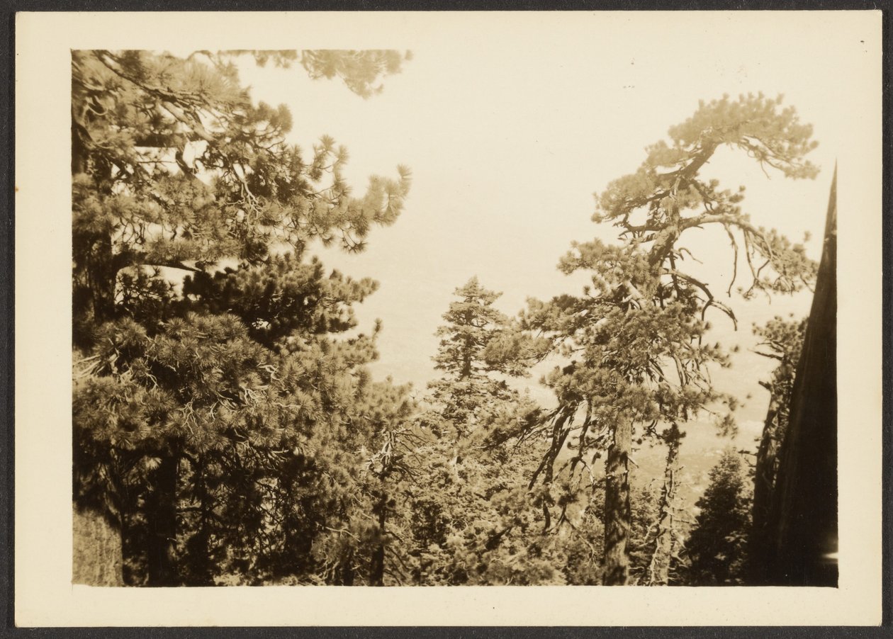 [Pico de Santa Rosa] de Louis Fleckenstein