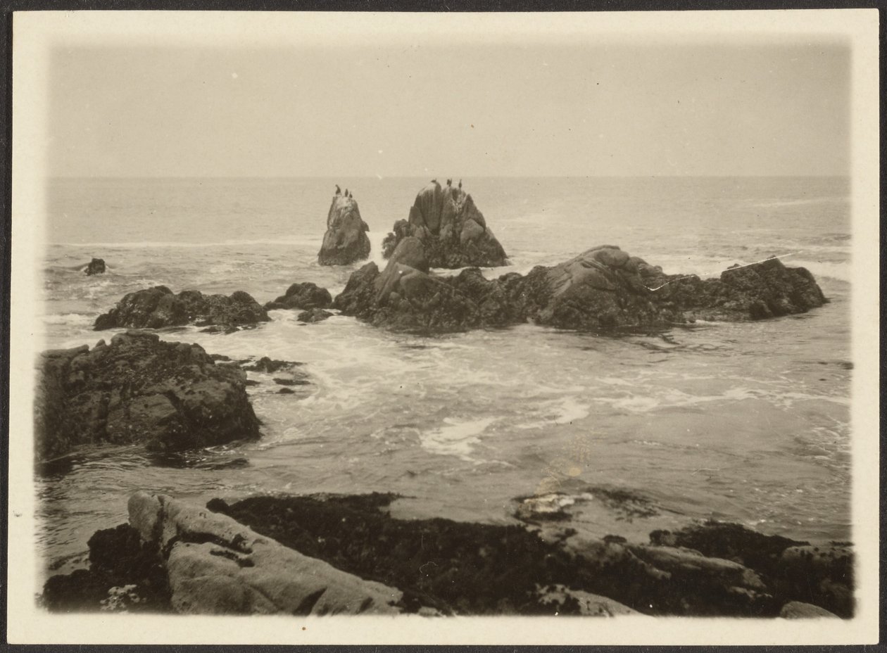 [Paisagem marítima]. de Louis Fleckenstein