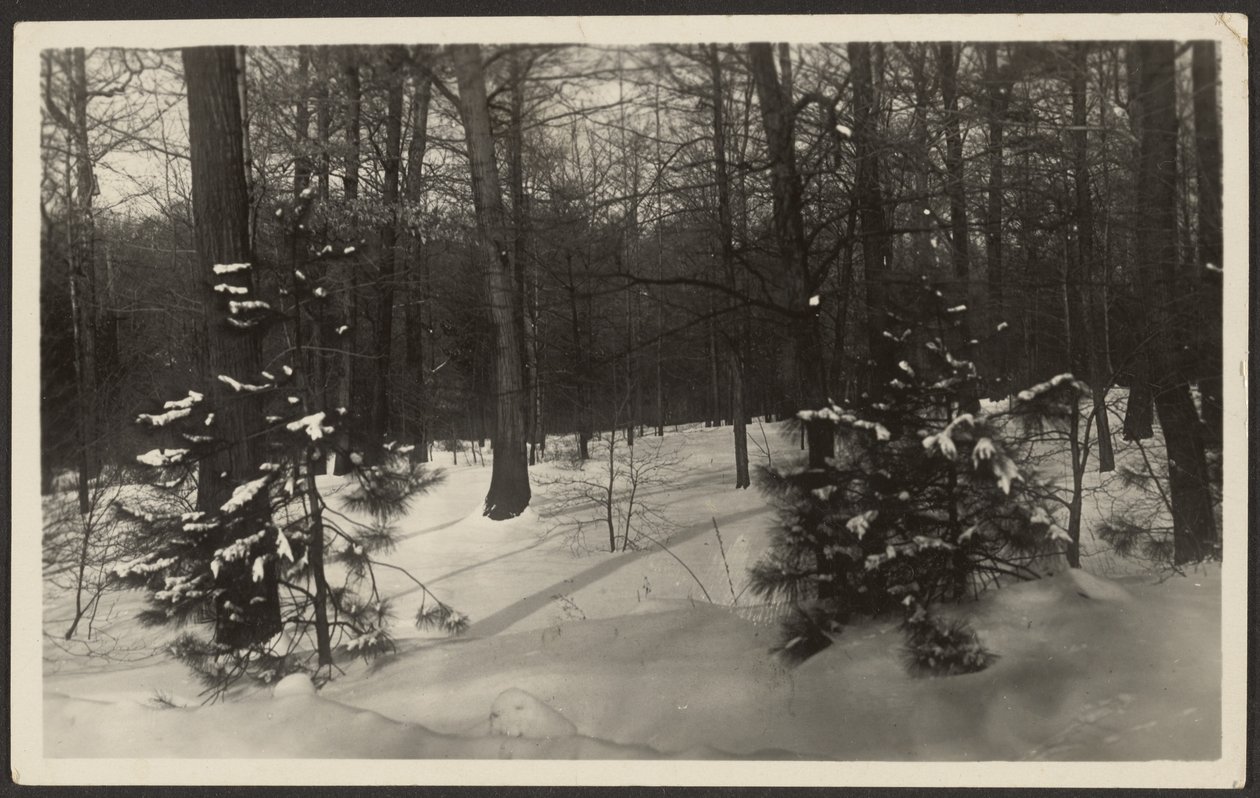 [Paisagem com neve]. de Louis Fleckenstein