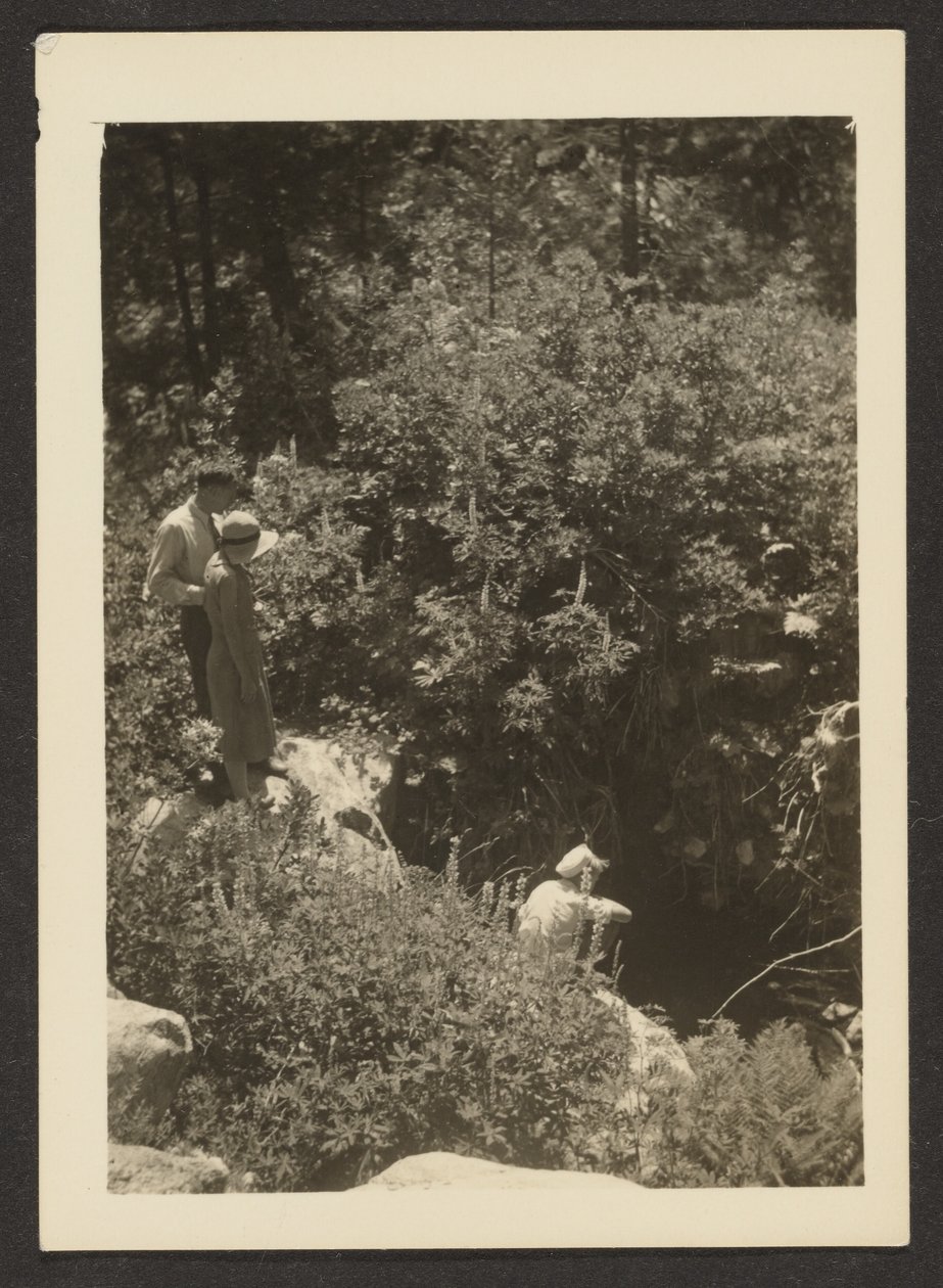[primavera em Fern Valley] de Louis Fleckenstein