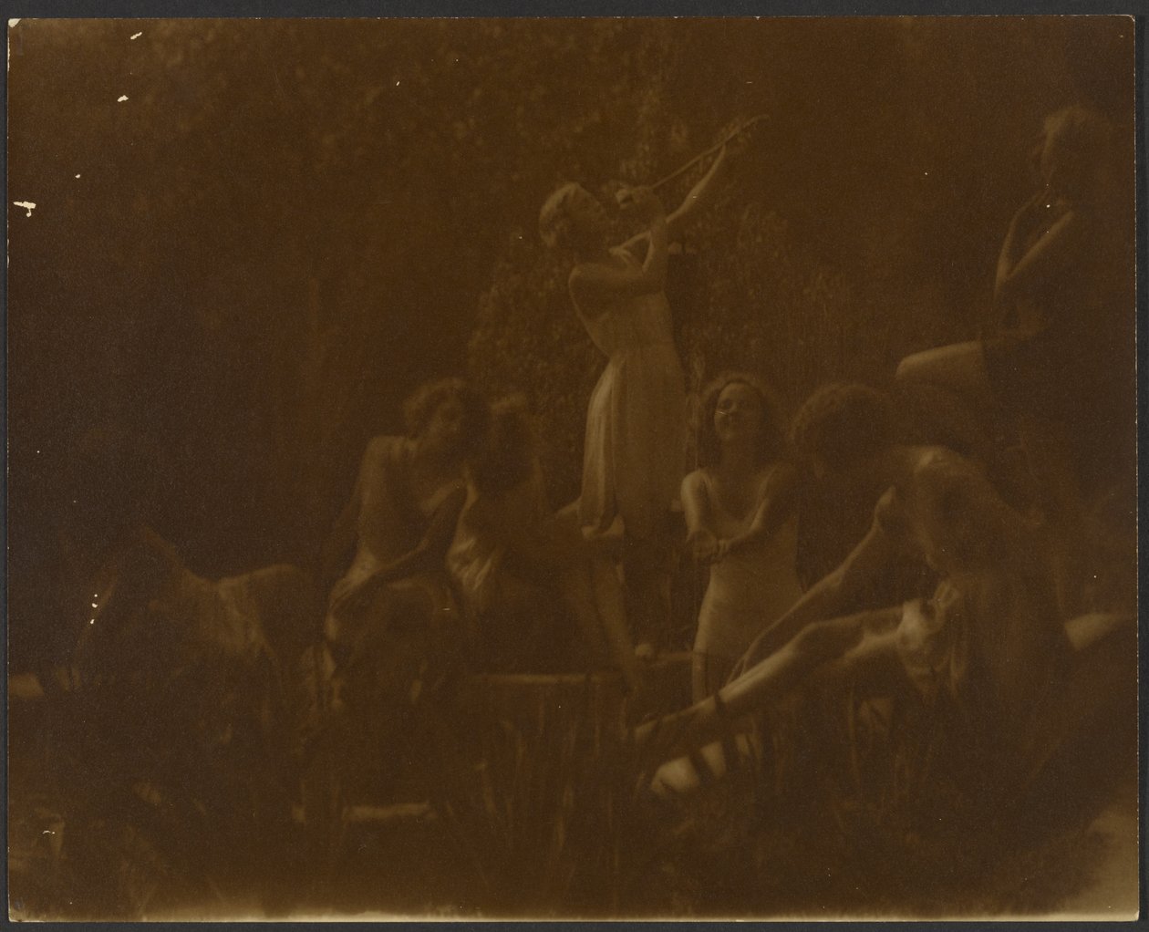 Nenúfares de Louis Fleckenstein