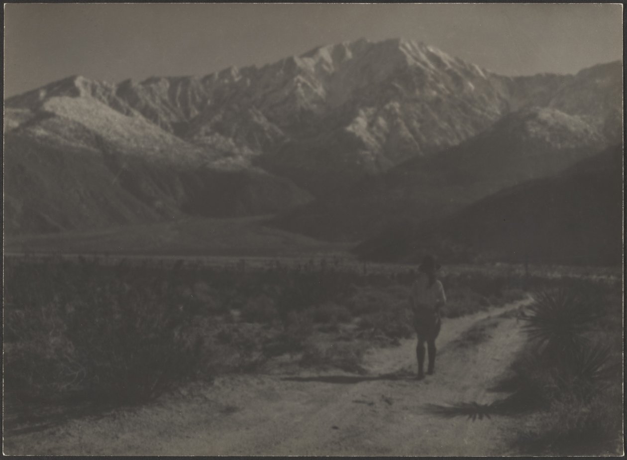[Mulher a caminhar no caminho em direção às montanhas]. de Louis Fleckenstein