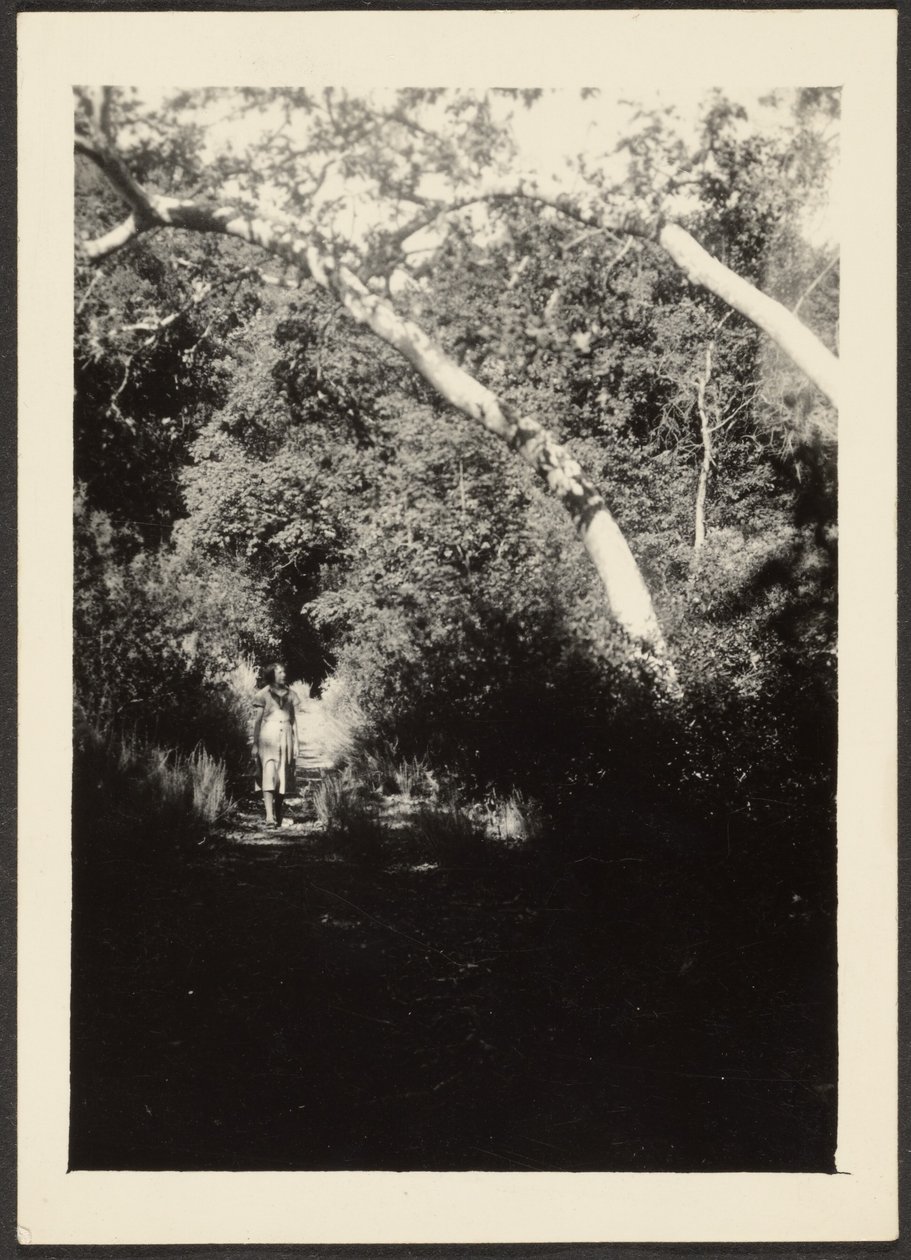 [Mulher no caminho no bosque]. de Louis Fleckenstein