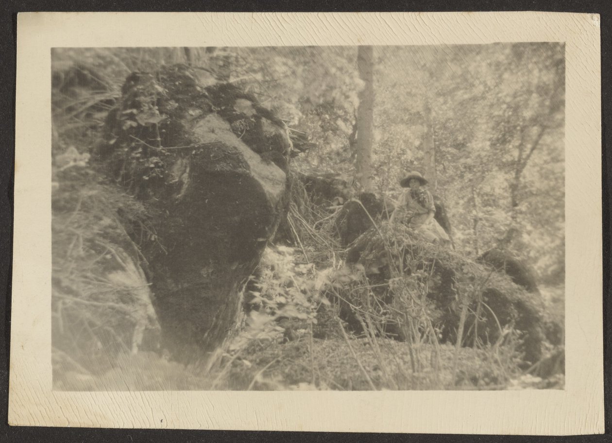 [Mulher sobre rochas no bosque]. de Louis Fleckenstein