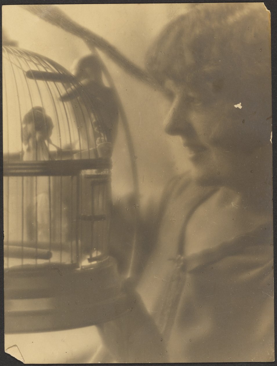 [Mulher com gaiola de pássaros]. de Louis Fleckenstein